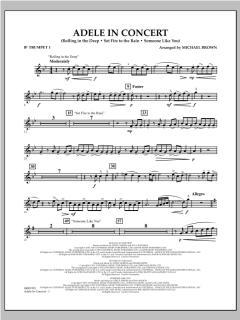 Adele In Concert (Download) 