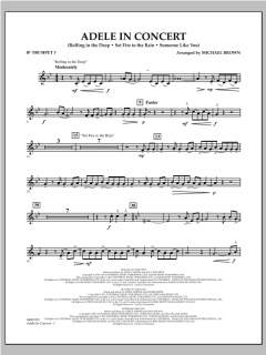 Adele In Concert (Download) 