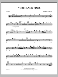 Northland Pines von Michael Sweeney (Download) 