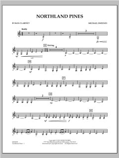 Northland Pines von Michael Sweeney (Download) 