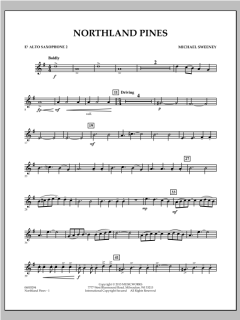 Northland Pines von Michael Sweeney (Download) 