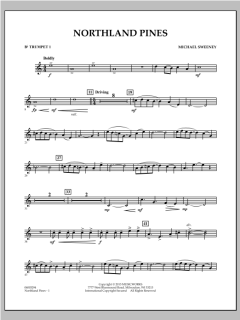 Northland Pines von Michael Sweeney (Download) 