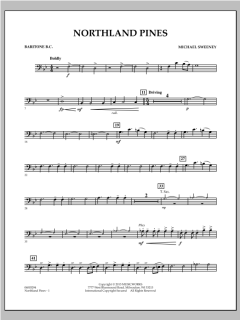 Northland Pines von Michael Sweeney (Download) 