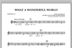 What A Wonderful World von Louis Armstrong (Download) 