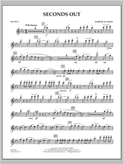 Seconds Out von Samuel R. Hazo (Download) 