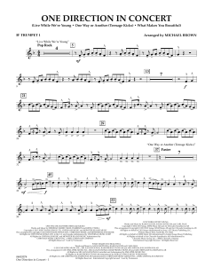 One Direction In Concert (Download) 