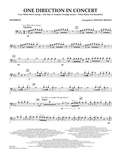 One Direction In Concert (Download) 