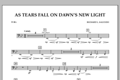 As Tears Fall On Dawn's New Light von Richard L. Saucedo (Download) 