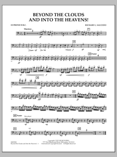 Beyond The Clouds And Into The Heavens! von Richard L. Saucedo (Download) 