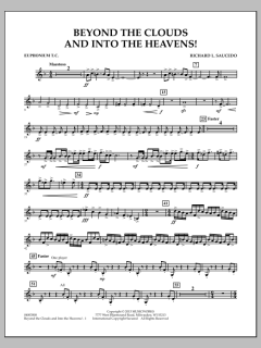 Beyond The Clouds And Into The Heavens! von Richard L. Saucedo (Download) 