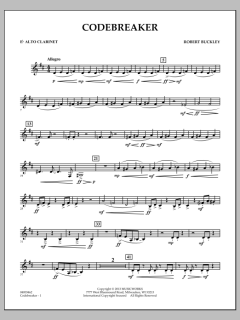 Codebreaker von Robert Buckley Farlee (Download) 