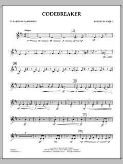 Codebreaker von Robert Buckley Farlee (Download) 