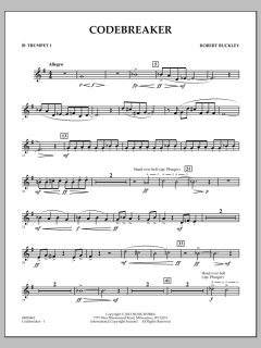 Codebreaker von Robert Buckley Farlee (Download) 