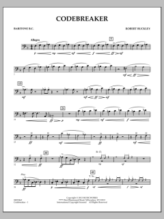 Codebreaker von Robert Buckley Farlee (Download) 