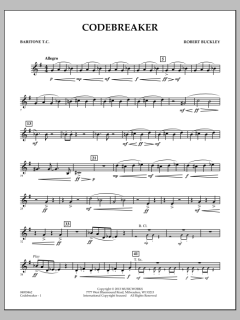 Codebreaker von Robert Buckley Farlee (Download) 