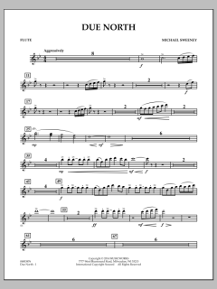 Due North von Michael Sweeney (Download) 