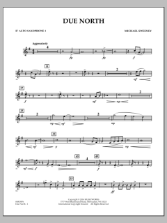 Due North von Michael Sweeney (Download) 