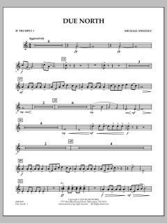 Due North von Michael Sweeney (Download) 