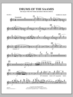 Drums of The Saamis von Samuel R. Hazo (Download) 