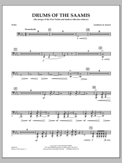 Drums of The Saamis von Samuel R. Hazo (Download) 