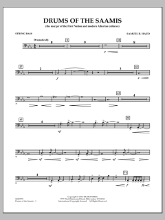 Drums of The Saamis von Samuel R. Hazo (Download) 