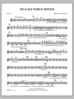 Of Gale Force Winds von Richard L. Saucedo (Download) 