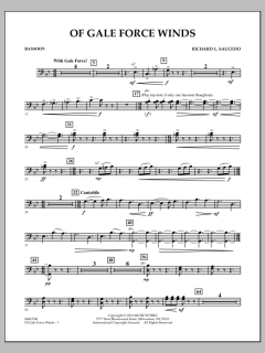 Of Gale Force Winds von Richard L. Saucedo (Download) 