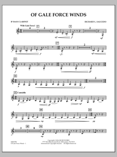 Of Gale Force Winds von Richard L. Saucedo (Download) 