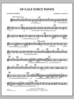 Of Gale Force Winds von Richard L. Saucedo (Download) 