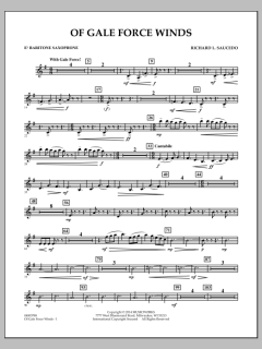 Of Gale Force Winds von Richard L. Saucedo (Download) 