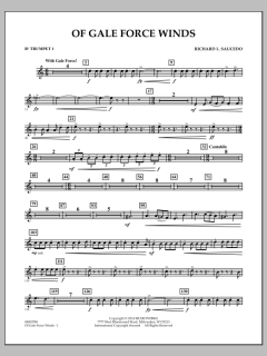 Of Gale Force Winds von Richard L. Saucedo (Download) 