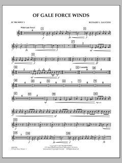 Of Gale Force Winds von Richard L. Saucedo (Download) 