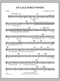 Of Gale Force Winds von Richard L. Saucedo (Download) 