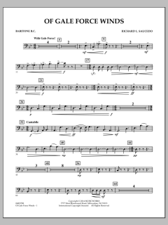 Of Gale Force Winds von Richard L. Saucedo (Download) 