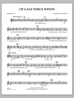 Of Gale Force Winds von Richard L. Saucedo (Download) 