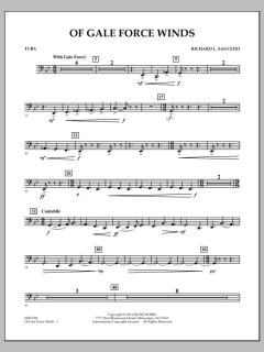 Of Gale Force Winds von Richard L. Saucedo (Download) 