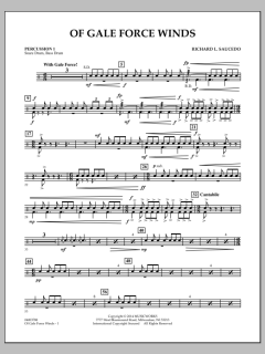 Of Gale Force Winds von Richard L. Saucedo (Download) 