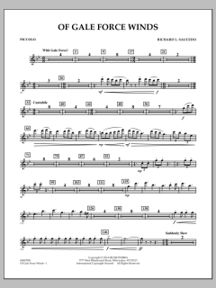 Of Gale Force Winds von Richard L. Saucedo (Download) 