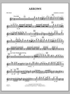 Arrows von Samuel R. Hazo (Download) 