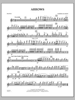 Arrows von Samuel R. Hazo (Download) 