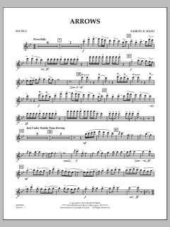 Arrows von Samuel R. Hazo (Download) 