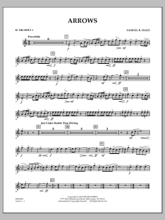 Arrows von Samuel R. Hazo (Download) 