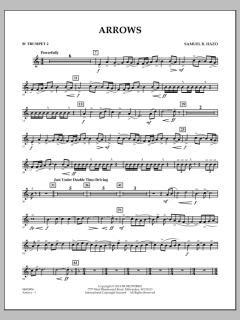 Arrows von Samuel R. Hazo (Download) 