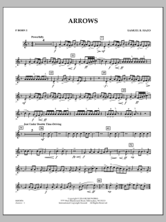 Arrows von Samuel R. Hazo (Download) 