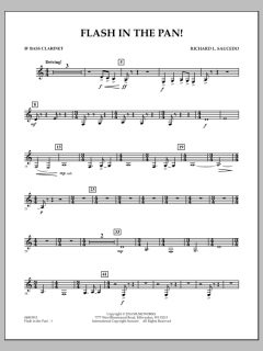 Flash In The Pan! von Richard L. Saucedo (Download) 