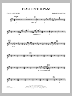 Flash In The Pan! von Richard L. Saucedo (Download) 