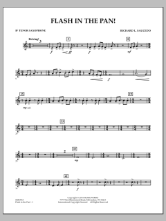 Flash In The Pan! von Richard L. Saucedo (Download) 