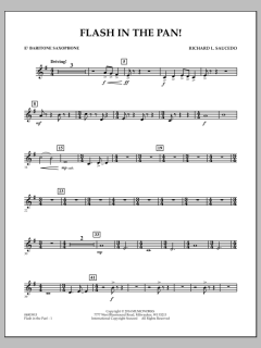 Flash In The Pan! von Richard L. Saucedo (Download) 