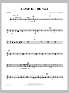 Flash In The Pan! von Richard L. Saucedo (Download) 