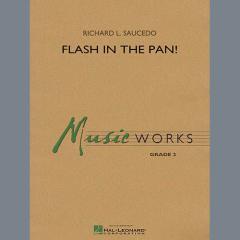 Flash In The Pan! von Richard L. Saucedo (Download) 